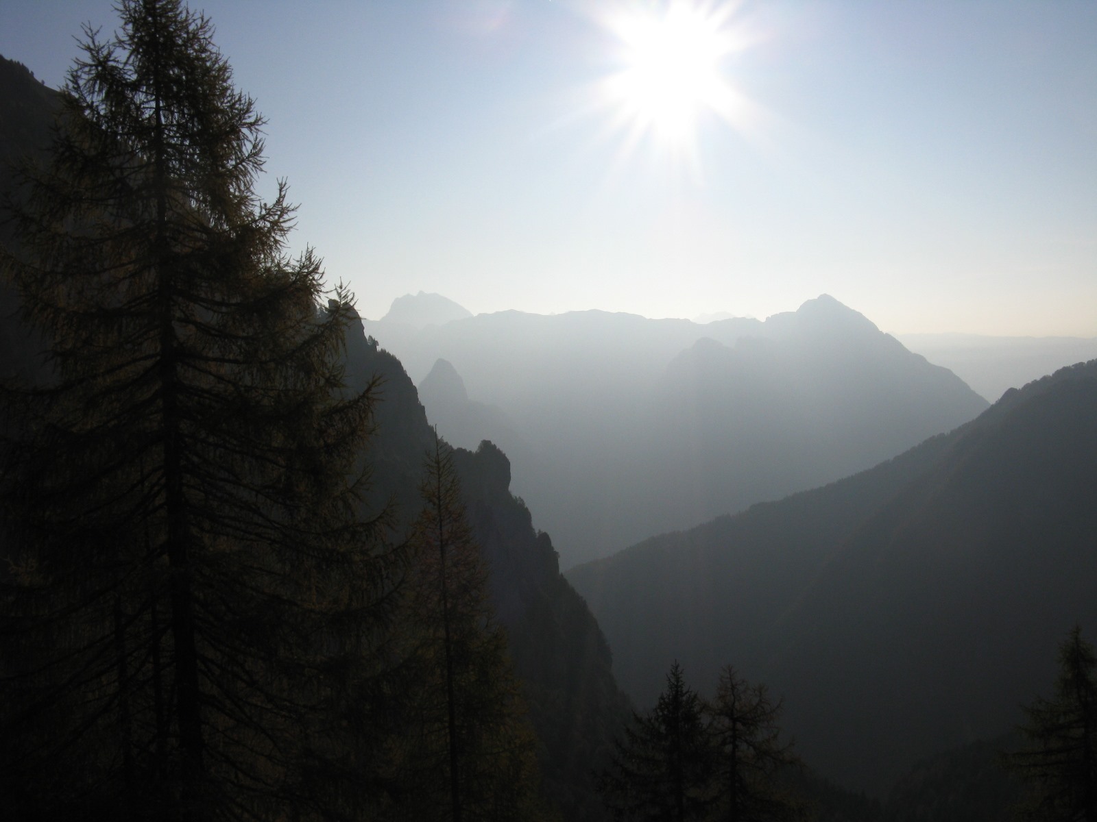 Cimon de Cajada: sulle tracce dei camosci.